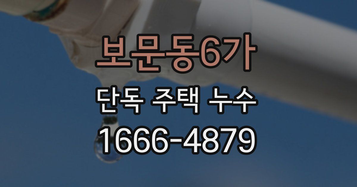 보문동6가 단독 주택 누수