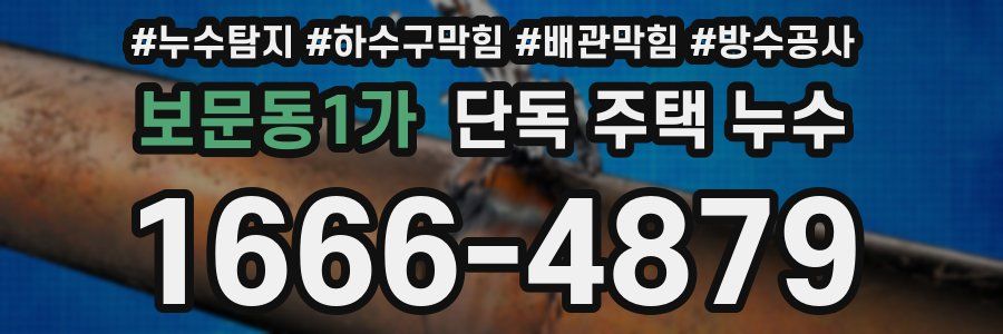 보문동1가 단독 주택 누수
