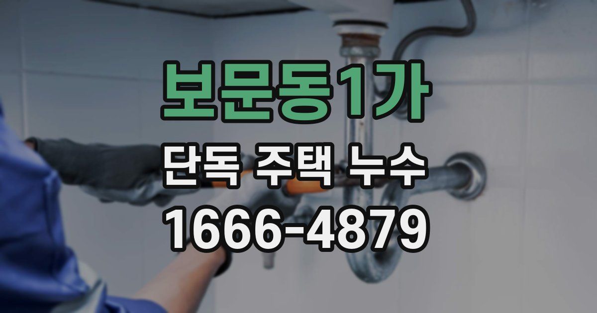 보문동1가 단독 주택 누수