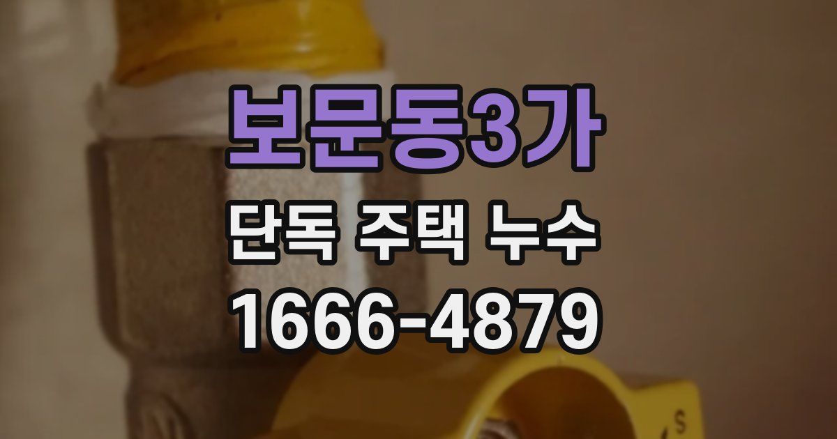 보문동3가 단독 주택 누수