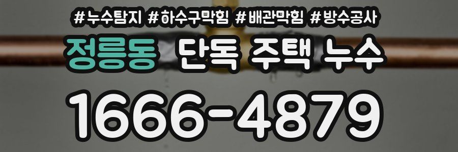 정릉동 단독 주택 누수