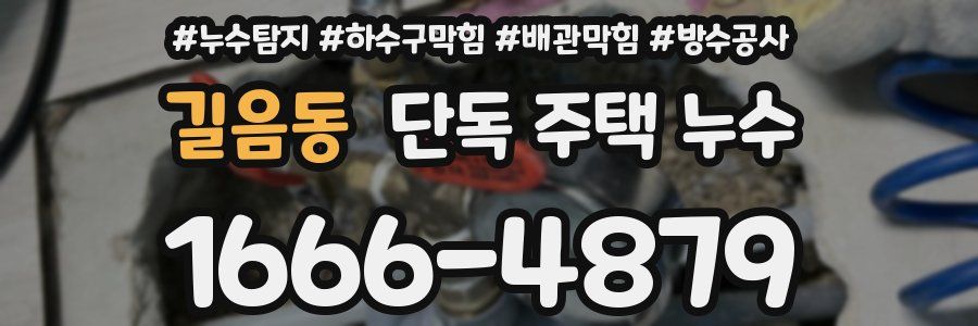 길음동 단독 주택 누수
