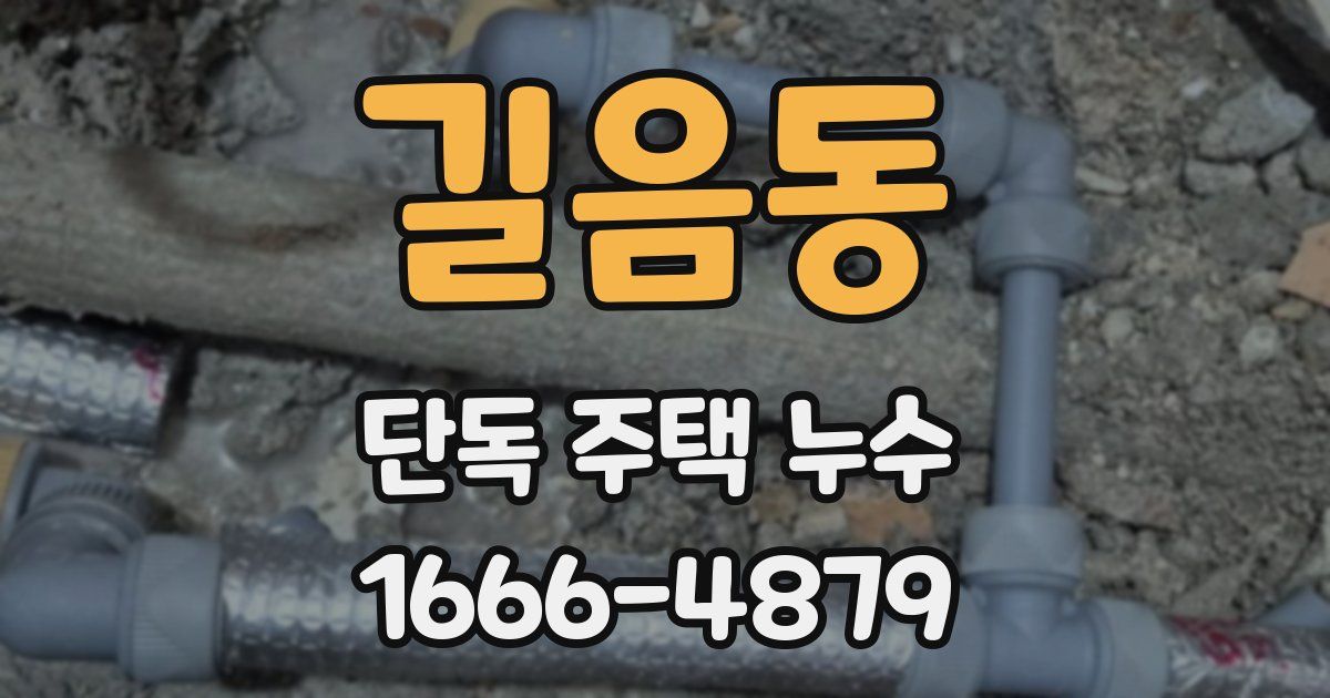 길음동 단독 주택 누수