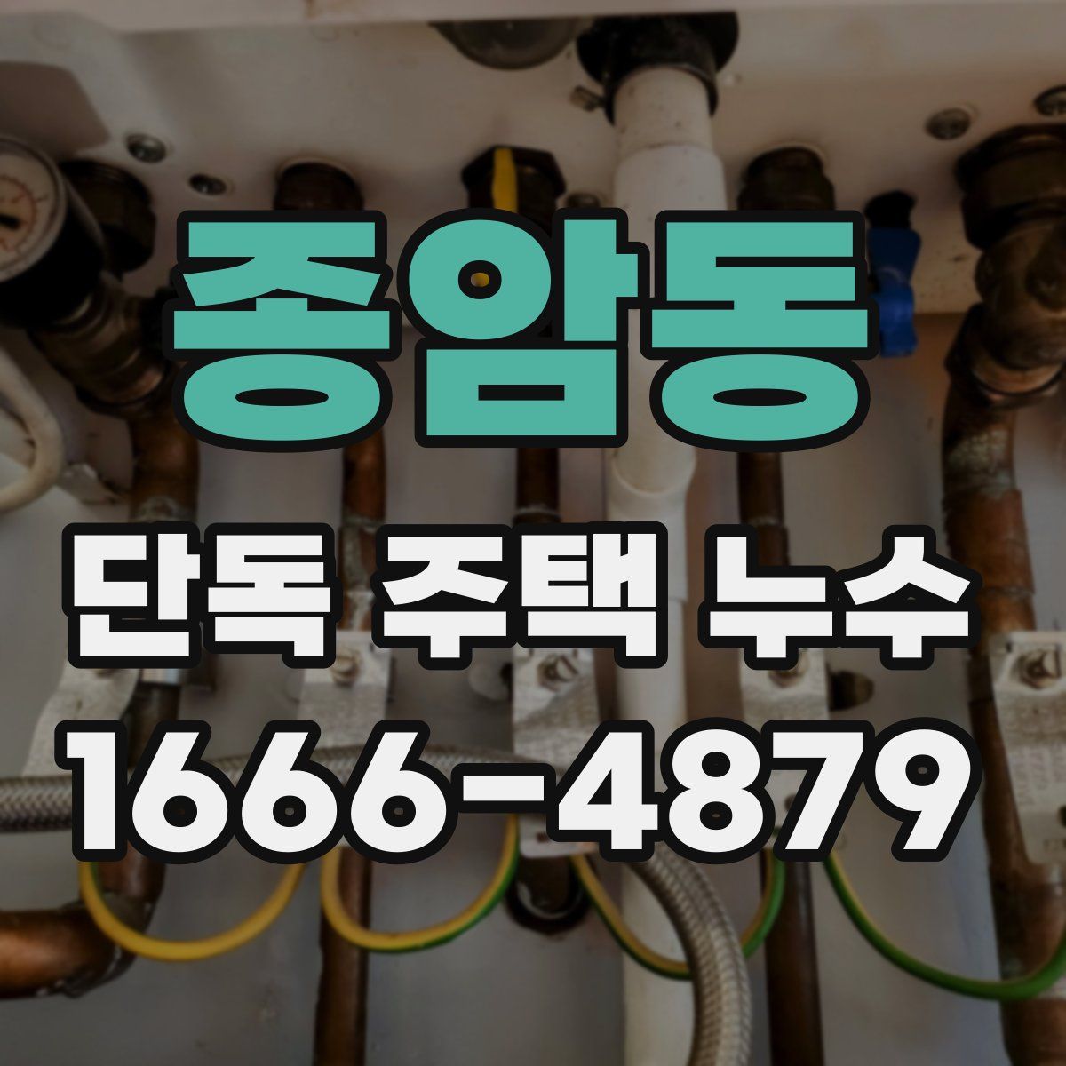종암동 단독 주택 누수