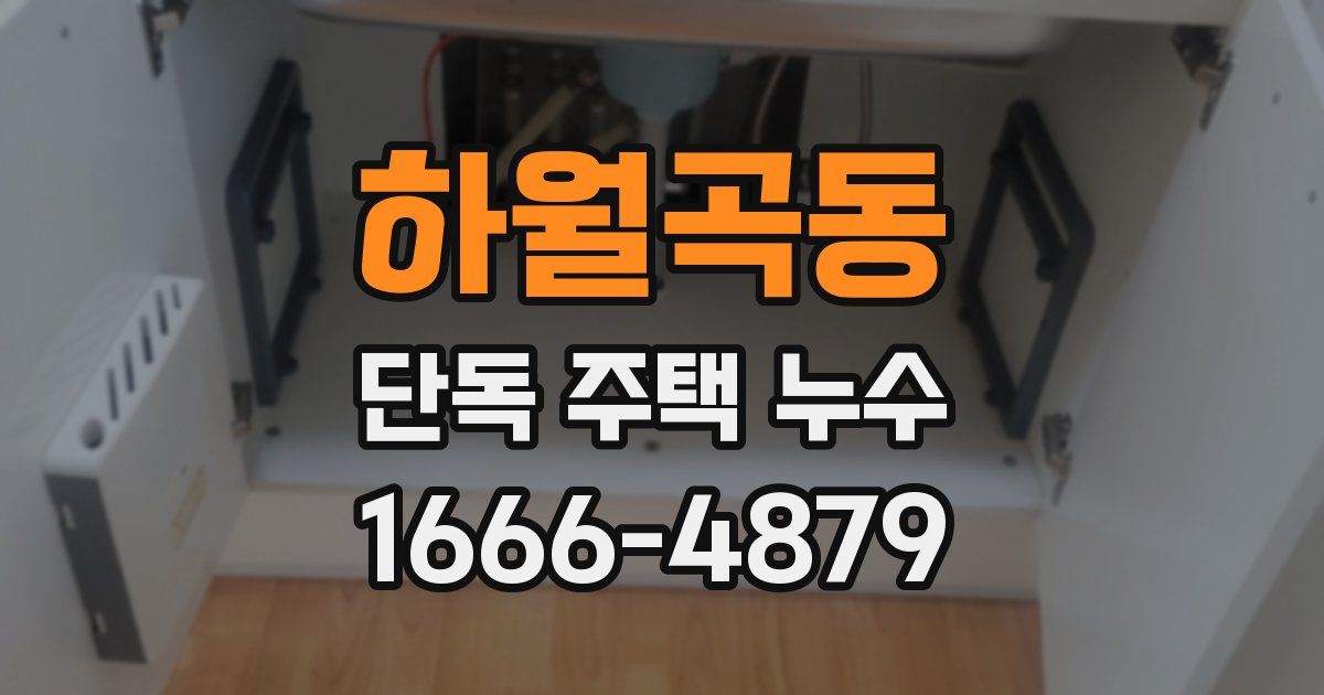 하월곡동 단독 주택 누수
