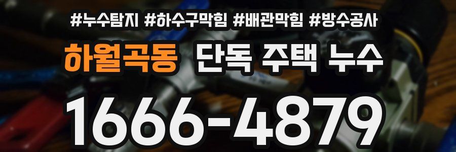 하월곡동 단독 주택 누수