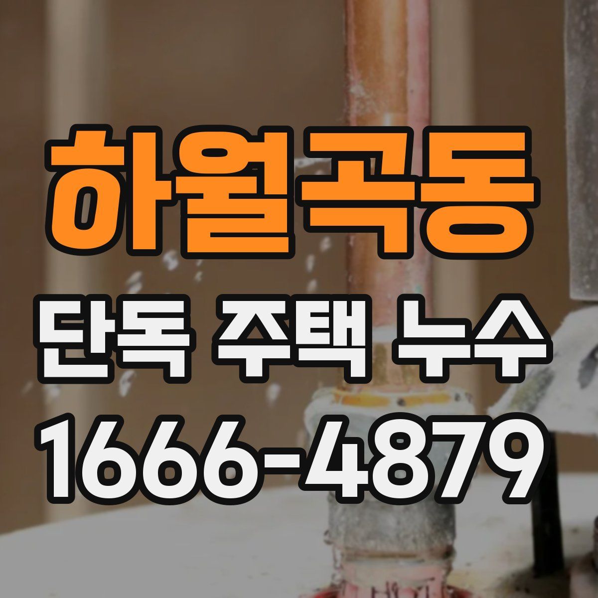 하월곡동 단독 주택 누수