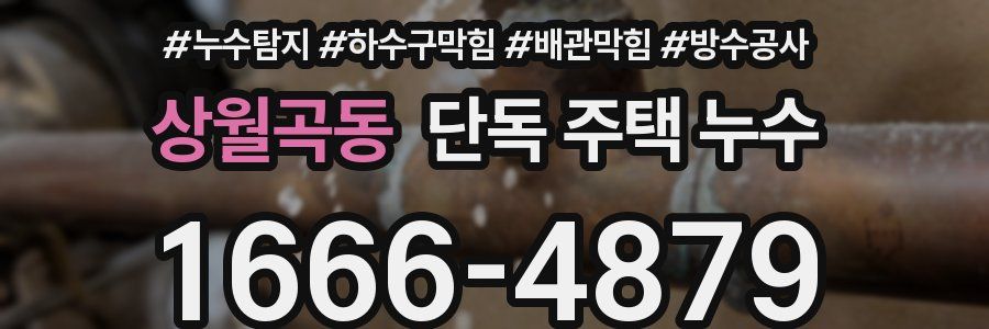 상월곡동 단독 주택 누수
