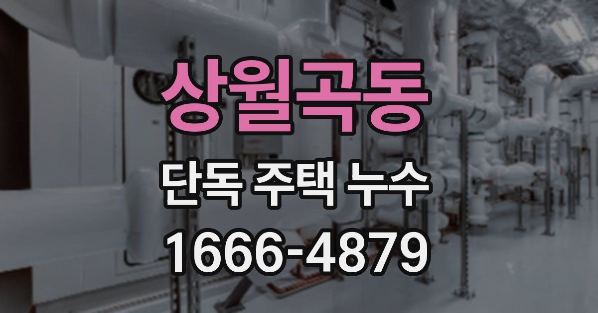 상월곡동 단독 주택 누수