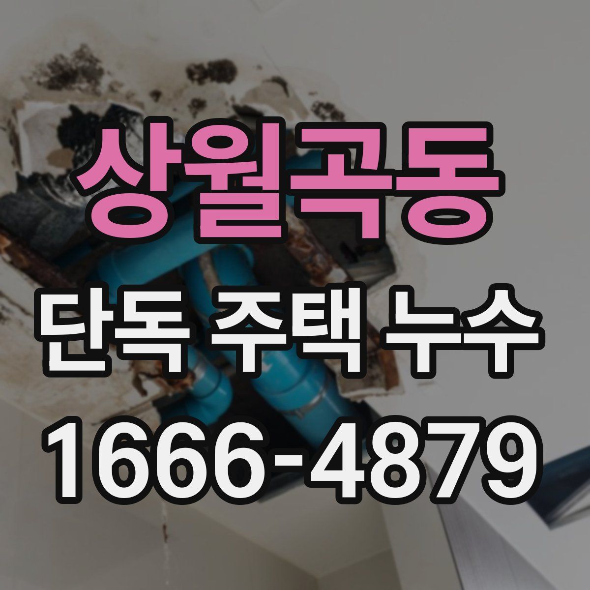 상월곡동 단독 주택 누수