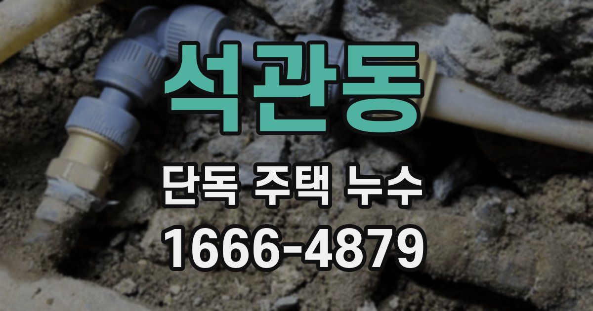 석관동 단독 주택 누수