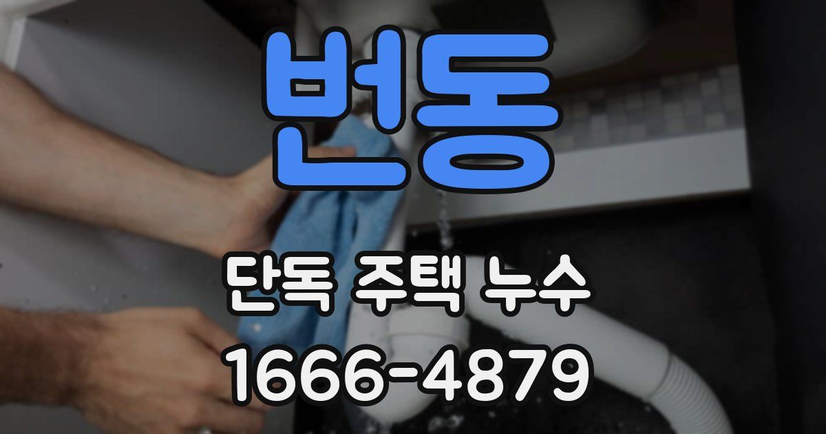 번동 단독 주택 누수