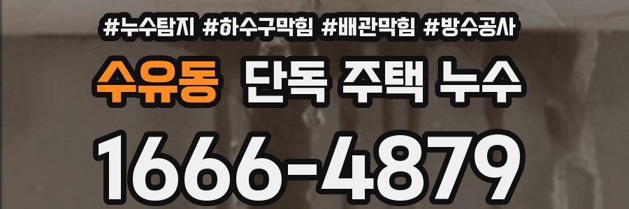 수유동 단독 주택 누수