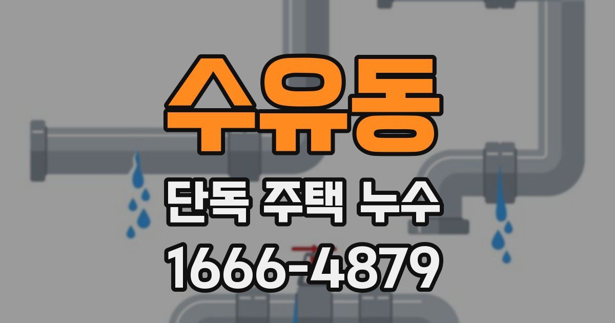 수유동 단독 주택 누수