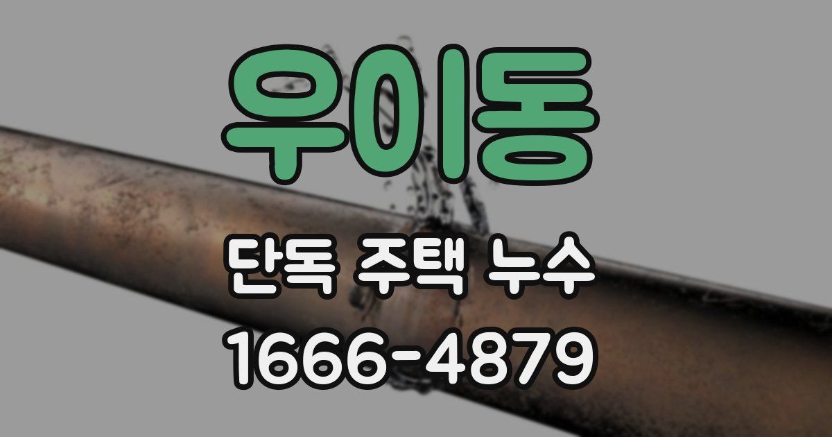 우이동 단독 주택 누수