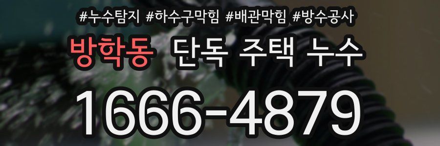 방학동 단독 주택 누수