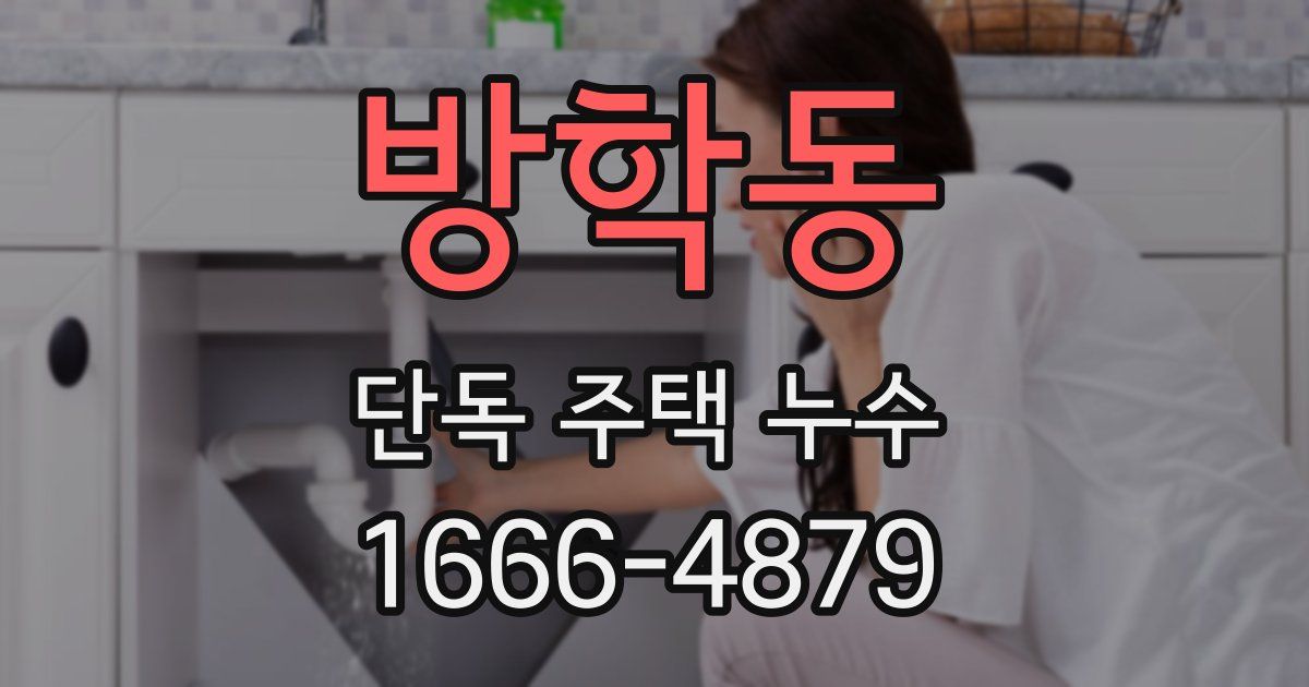 방학동 단독 주택 누수