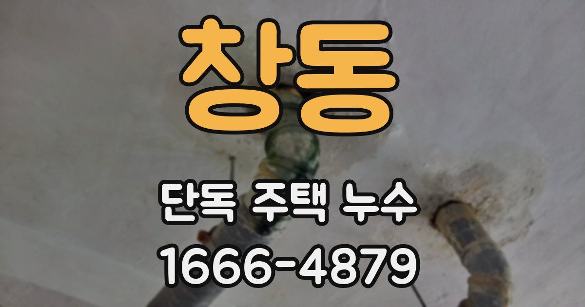 창동 단독 주택 누수