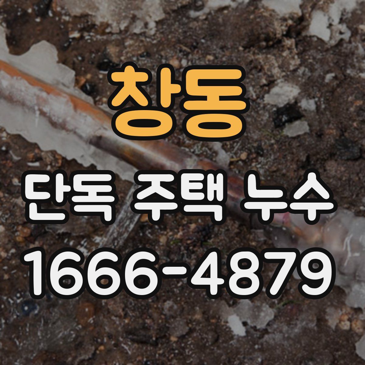 창동 단독 주택 누수