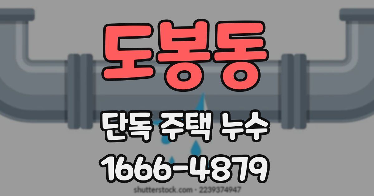도봉동 단독 주택 누수