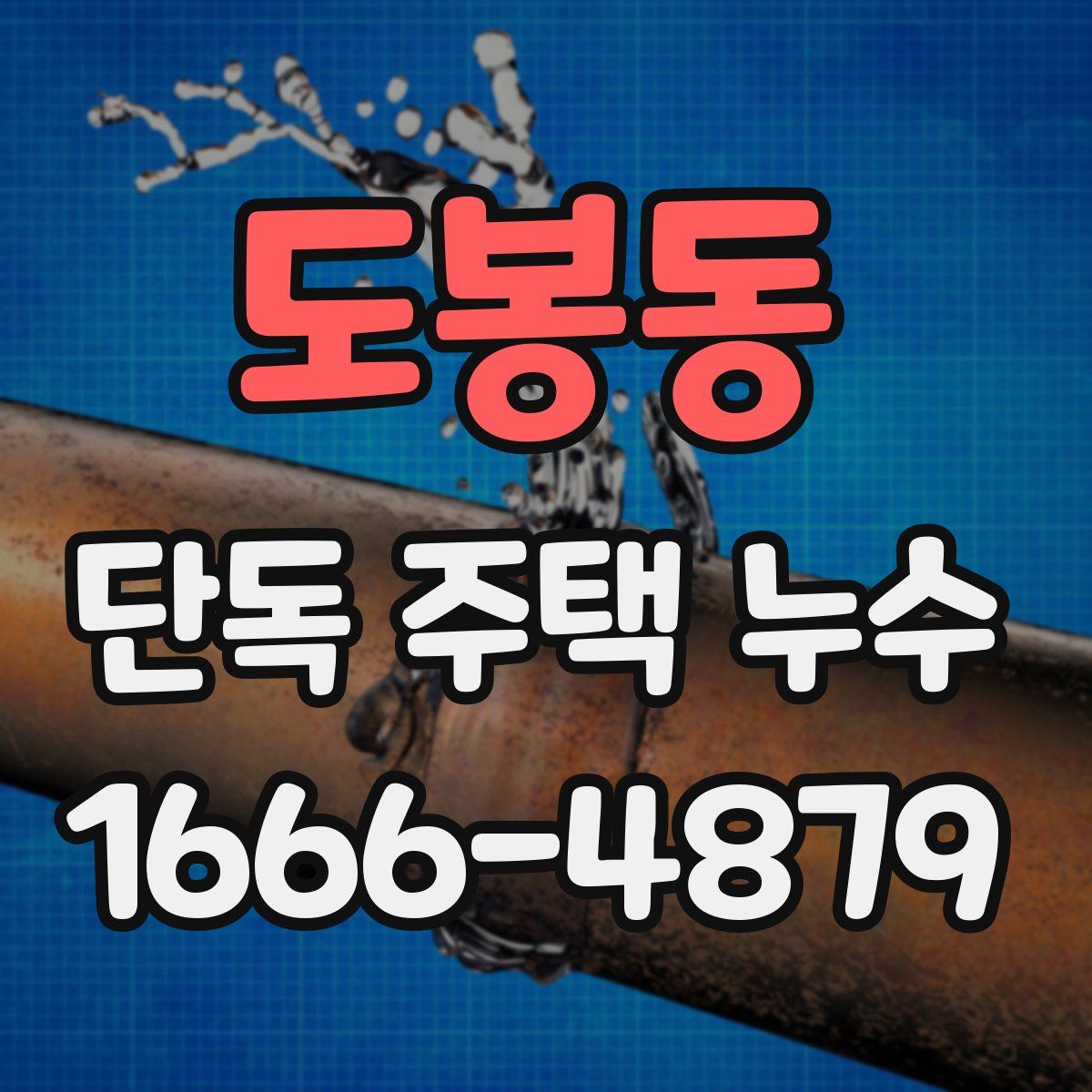 도봉동 단독 주택 누수