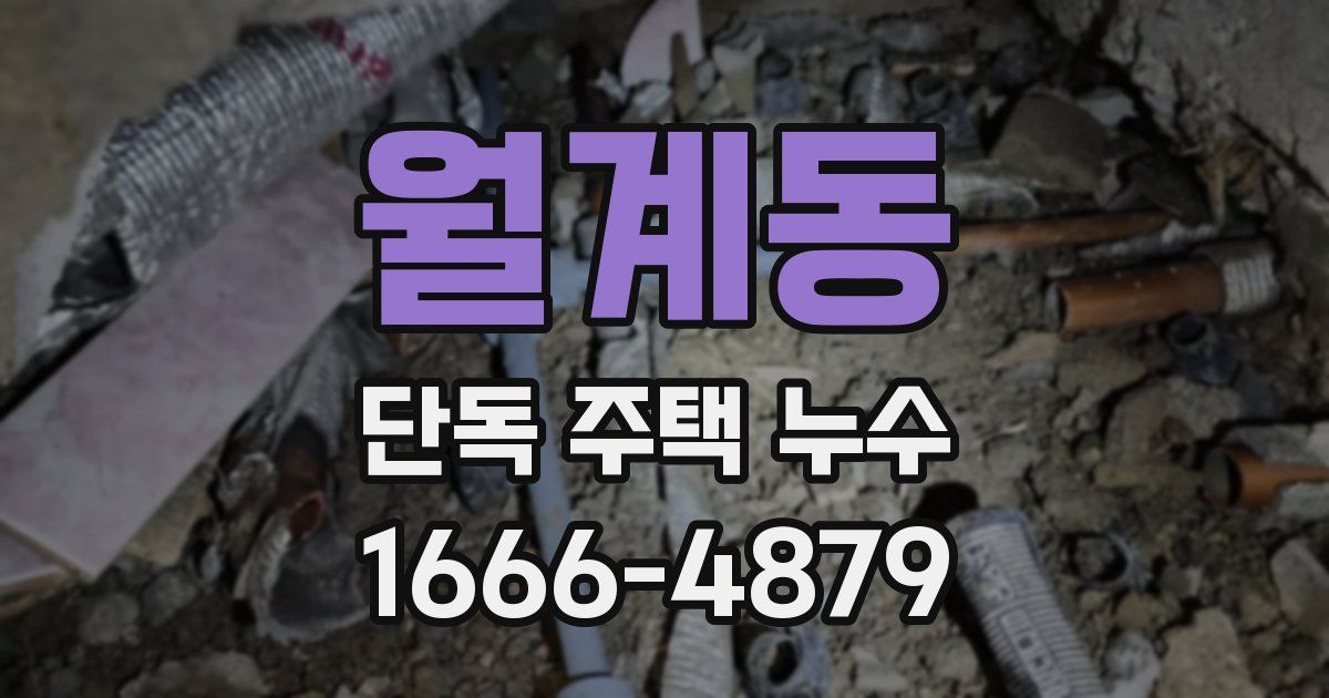 월계동 단독 주택 누수