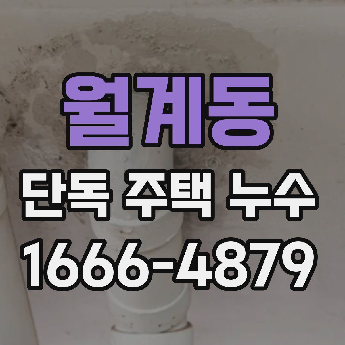 월계동 단독 주택 누수