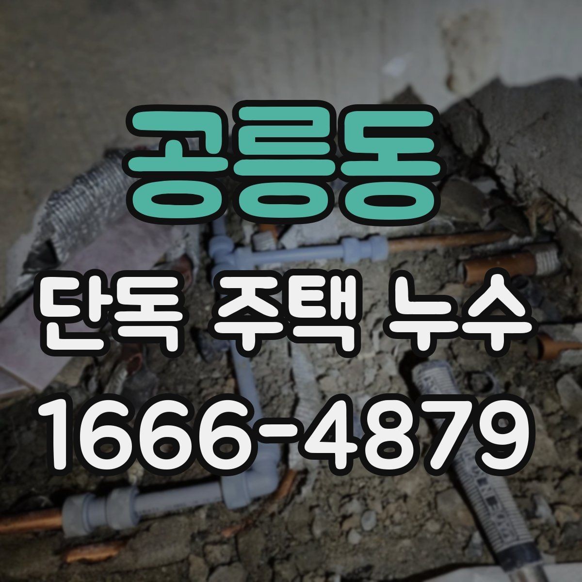 공릉동 단독 주택 누수 외관보다 내부 점검이 중요한 이유