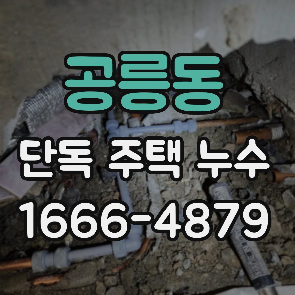 공릉동 단독 주택 누수