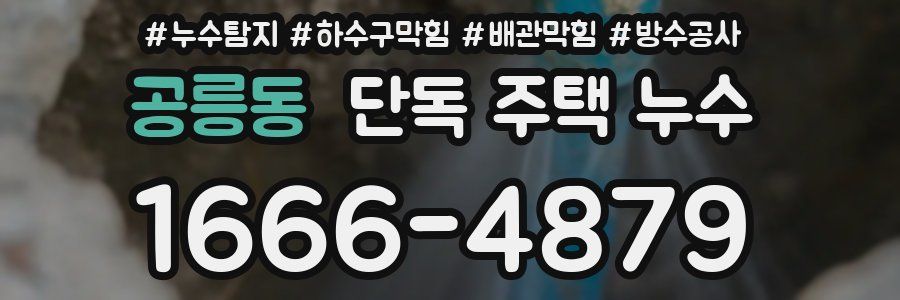 공릉동 단독 주택 누수
