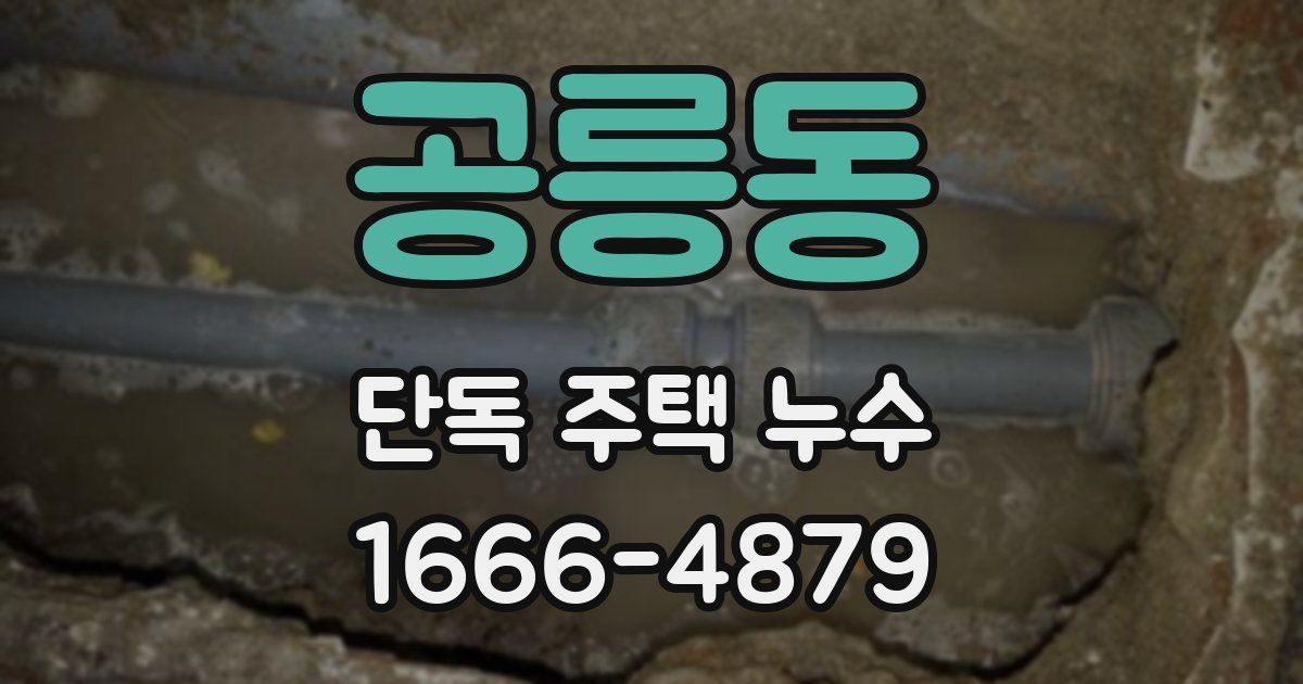 공릉동 단독 주택 누수