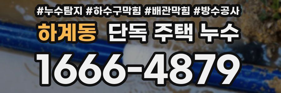 하계동 단독 주택 누수
