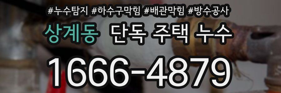 상계동 단독 주택 누수