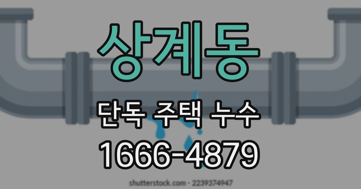 상계동 단독 주택 누수
