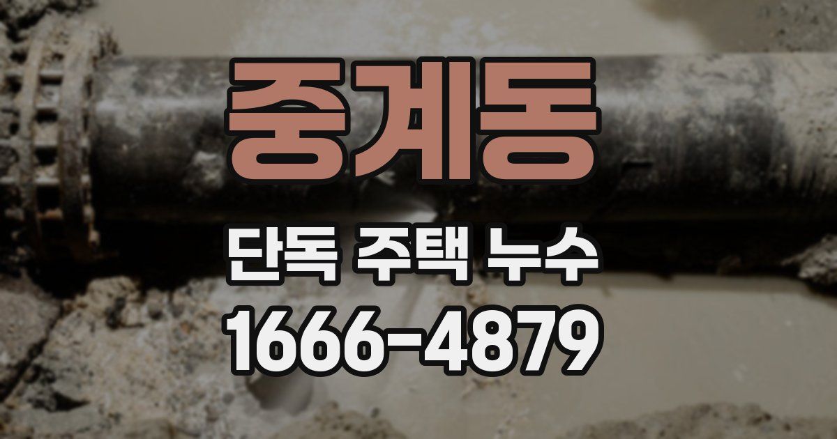 중계동 단독 주택 누수
