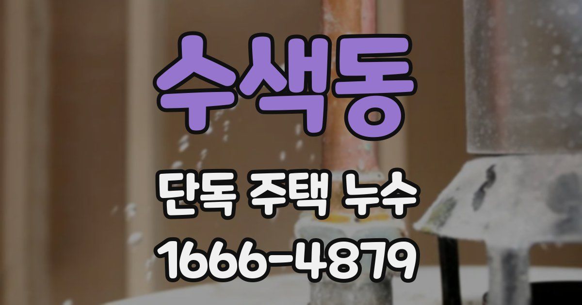 수색동 단독 주택 누수