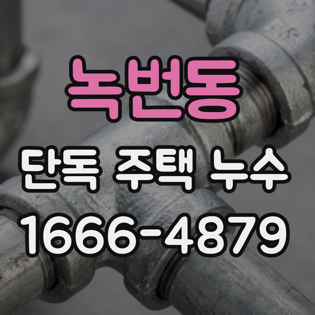 녹번동 단독 주택 누수