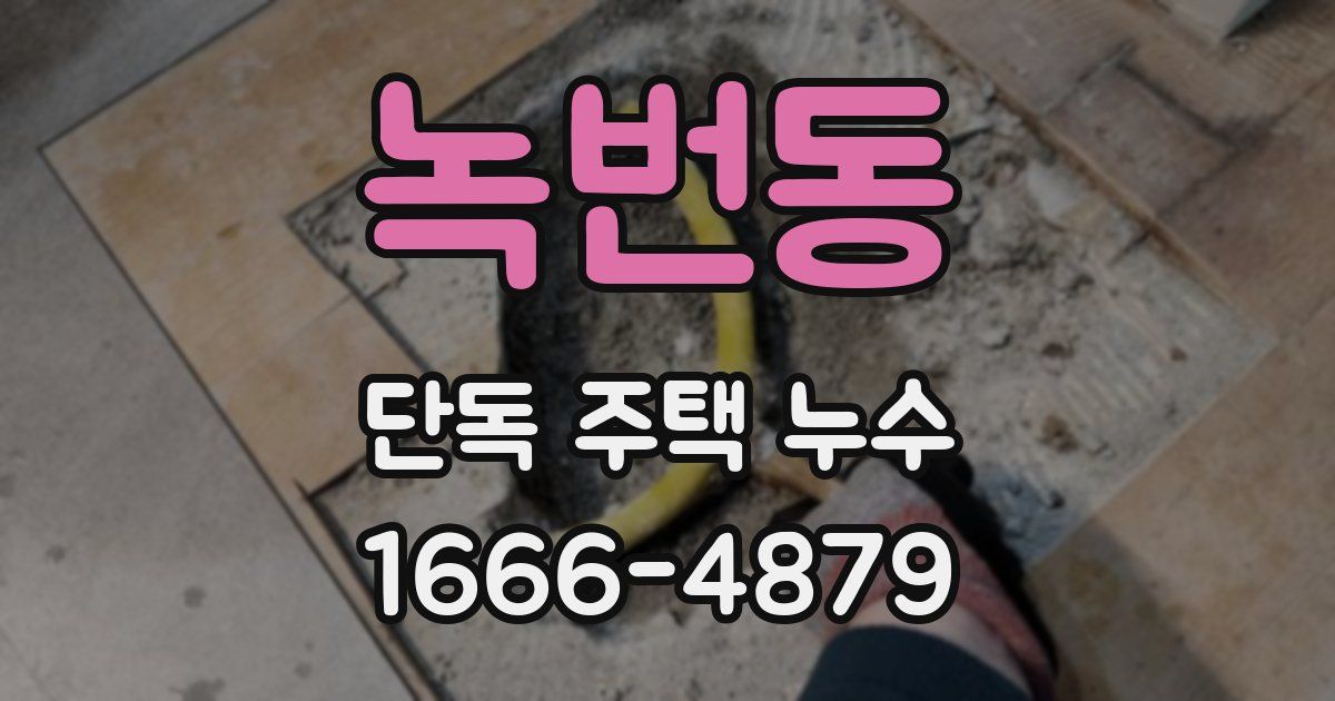 녹번동 단독 주택 누수