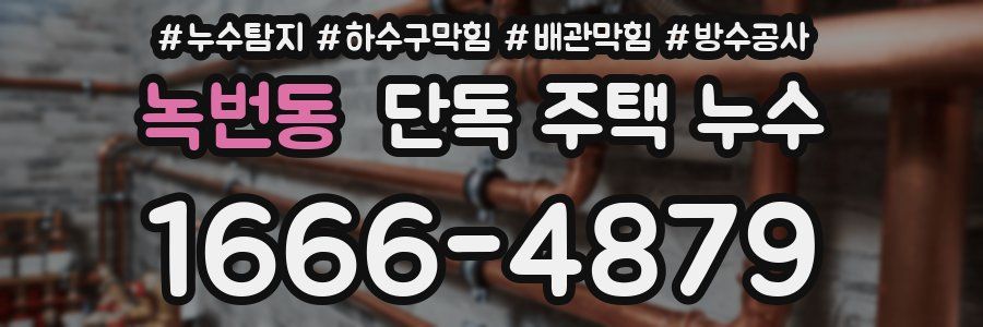녹번동 단독 주택 누수