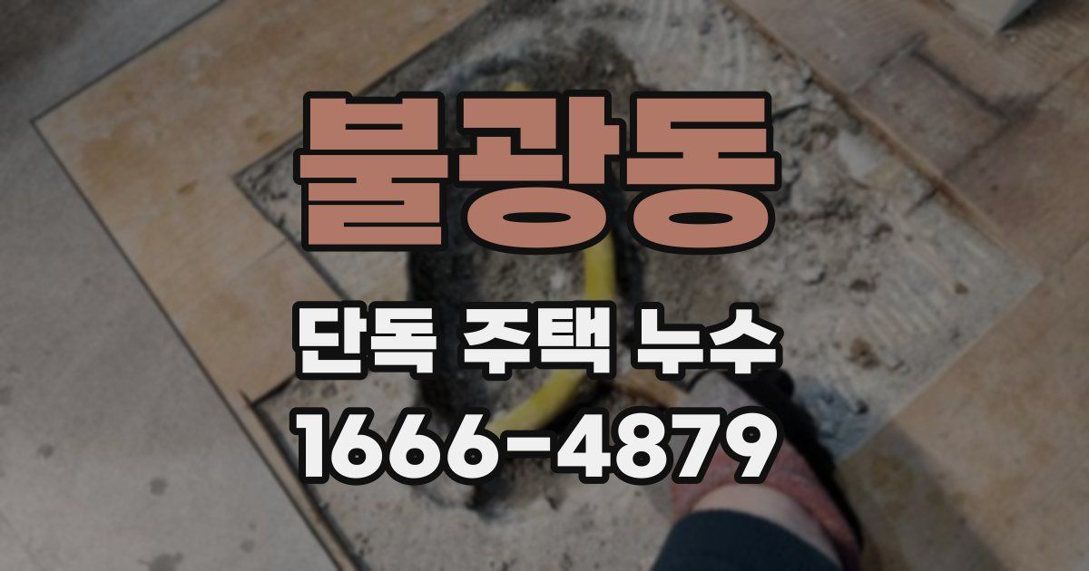 불광동 단독 주택 누수
