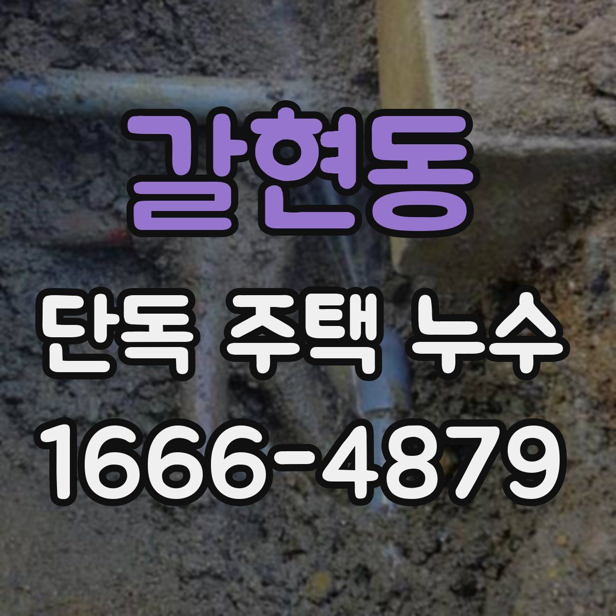 갈현동 단독 주택 누수
