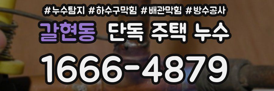 갈현동 단독 주택 누수