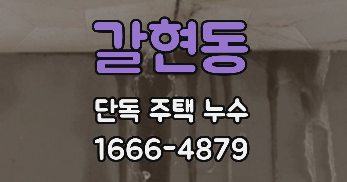 갈현동 단독 주택 누수