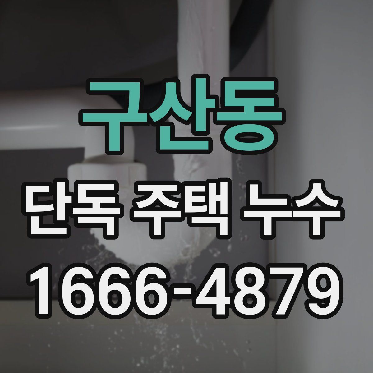 구산동 단독 주택 누수