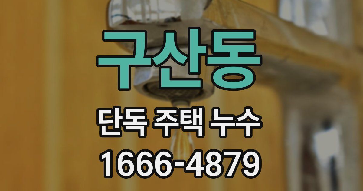 구산동 단독 주택 누수