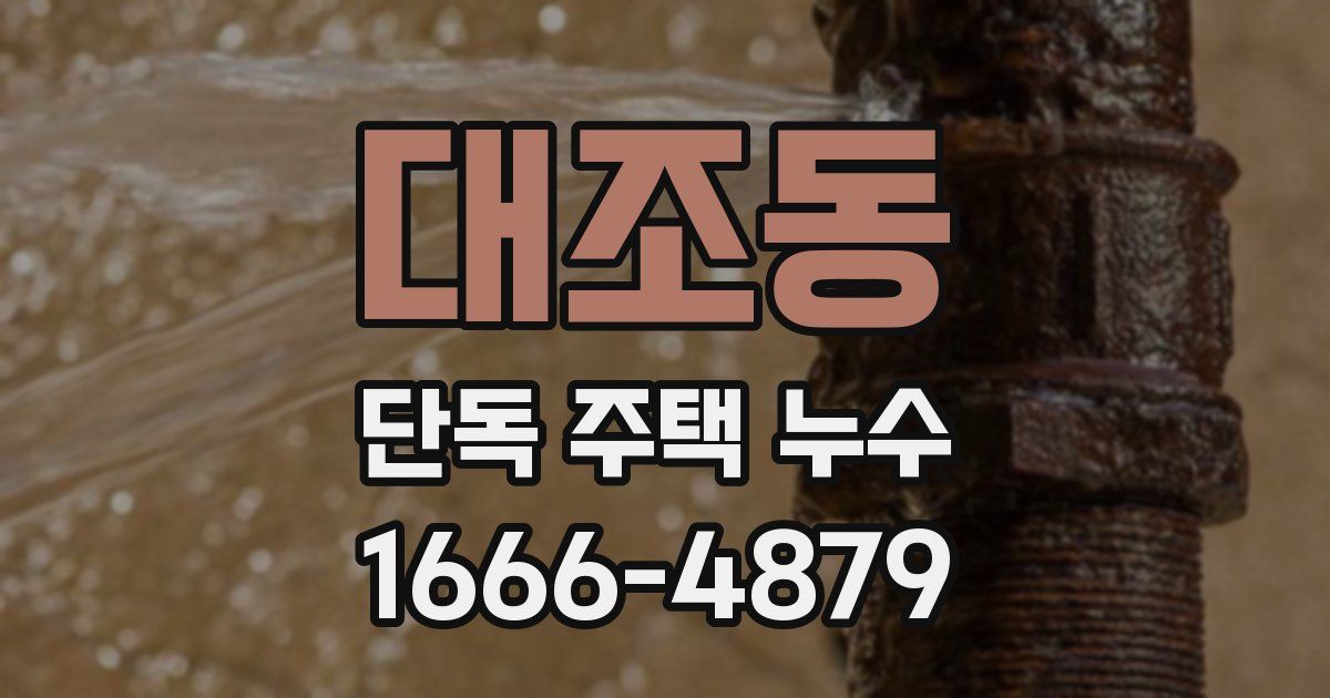 대조동 단독 주택 누수
