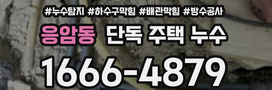 응암동 단독 주택 누수