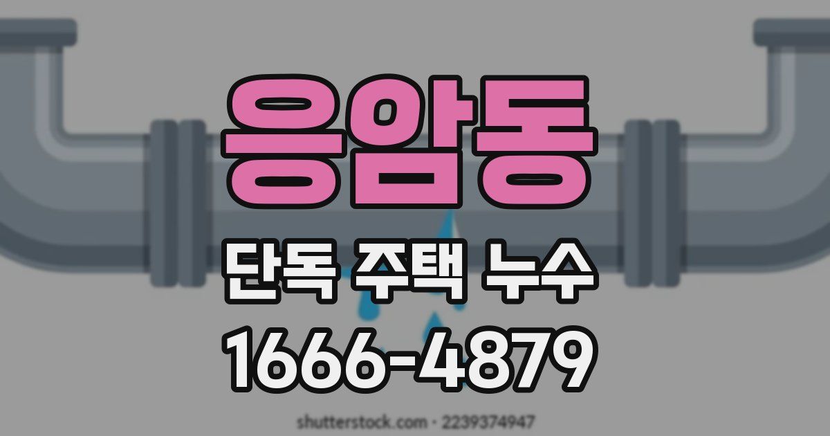 응암동 단독 주택 누수