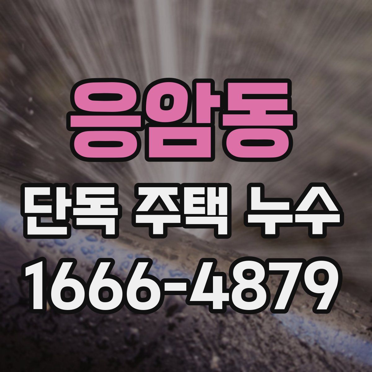 응암동 단독 주택 누수