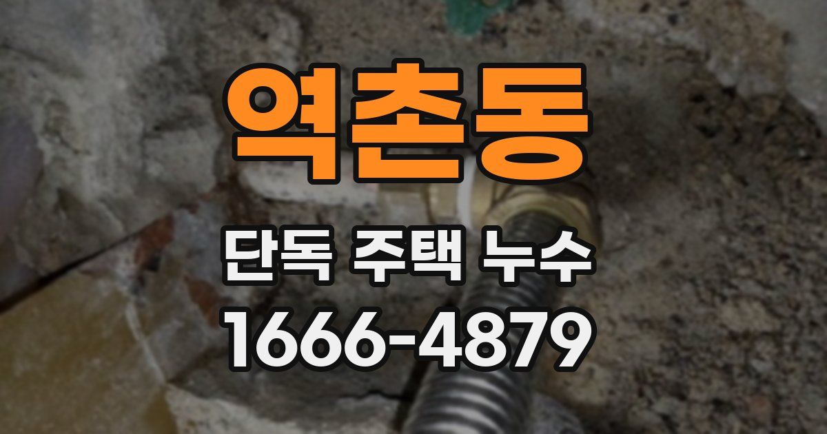 역촌동 단독 주택 누수